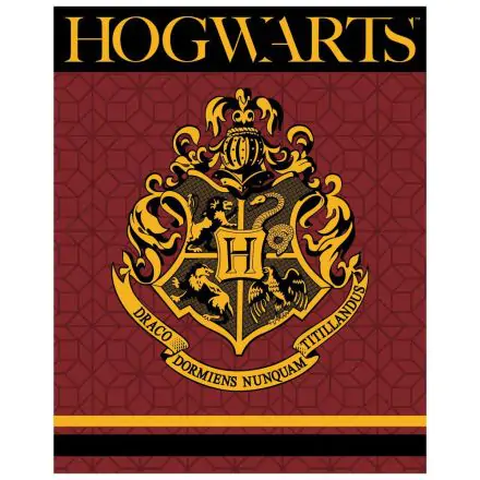 Harry Potter Hogwarts premium coral blanket product photo