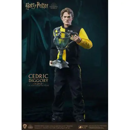 Harry Potter My Favourite Movie Action Figure 1/6 Cedric Diggory Triwizard Version 30 cm product photo