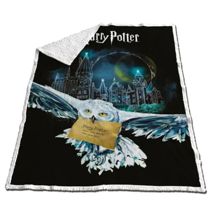 Harry Potter coral sherpa blanket product photo