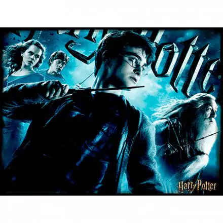 Harry Potter Prime 3D puzzle 500pcs product photo