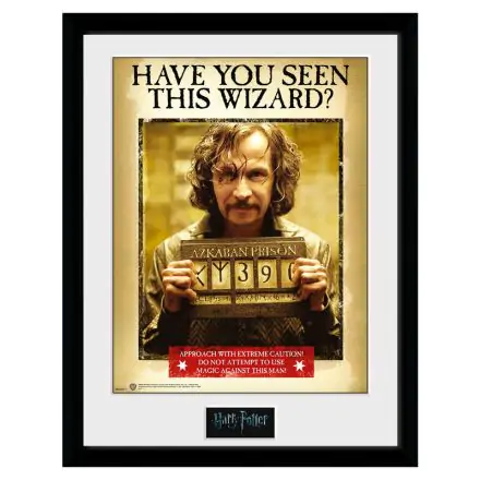 Harry Potter Sirius Azkaban Framed Photo product photo
