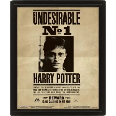 Harry Potter Sirius Black and Harry Potter lentiform 3D poster product photo