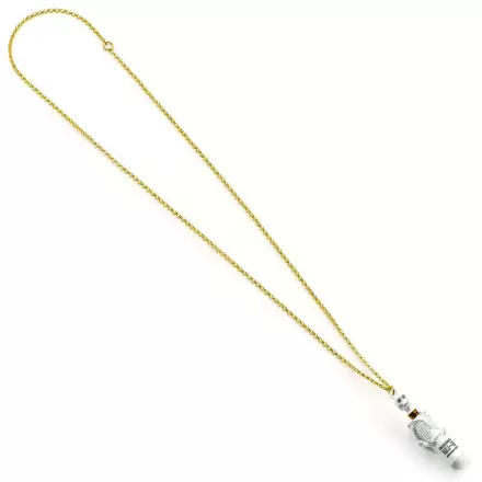 Harry Potter Skelegro necklace product photo