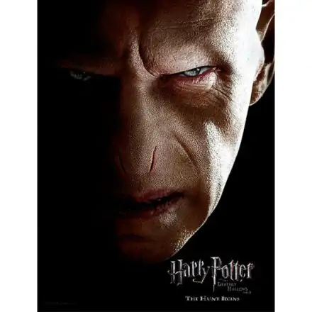 Harry Potter Voldemort Face glass poster product photo