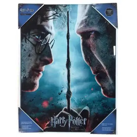Harry Potter vs Voldemort glass poster product photo