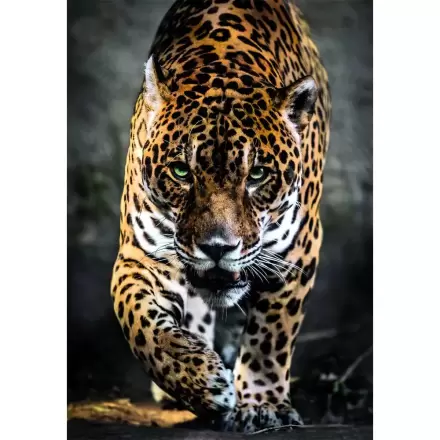 High Quality Walk of the Jaguar puzzle 1000pcs termékfotója