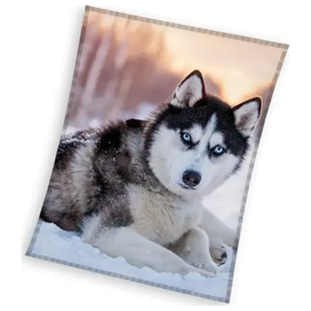 Husky fleece blanket product photo
