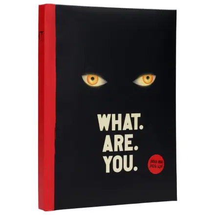 It Notebook with Light What are you  product photo