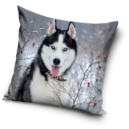 pillows