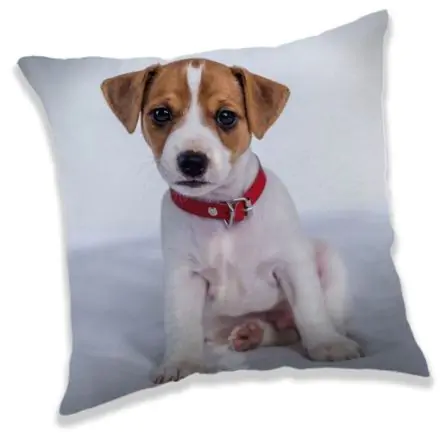 Dog themed cushion, decorative pillow 40x40 cm product photo