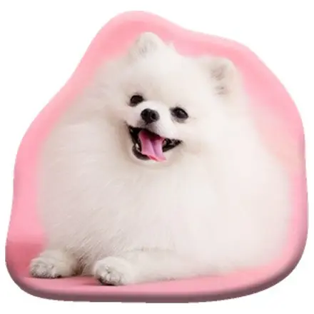 Dog Pomeranian Shaped Pillow, Decorative Pillow product photo
