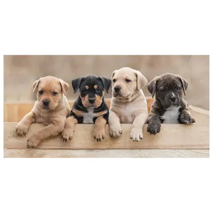 Dog Team towel product photo