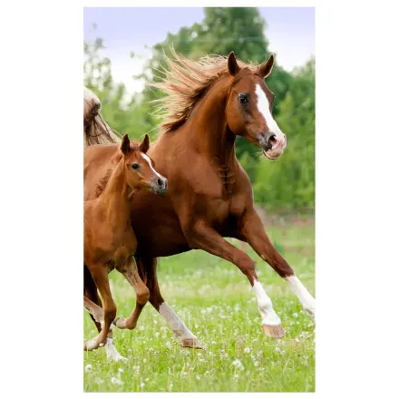 Lovas Career hand towel, face towel, towel product photo