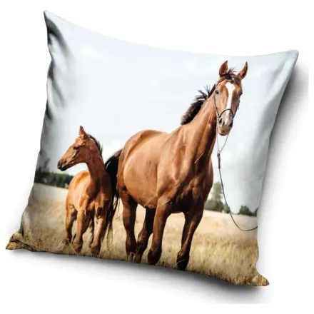 Rider Loyal Hearts Pillowcase product photo