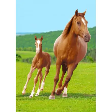 Horse Riding Fleece Blanket 100*140cm product photo