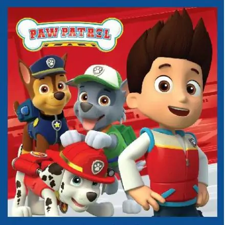 Paw Patrol Magic Hand Towel Face Towel, Towel 30x30cm product photo