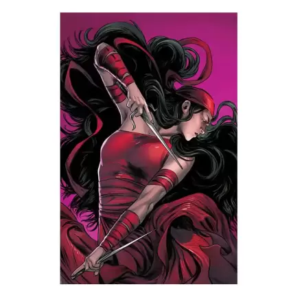 Marvel Art Print Elektra: Woman Without Fear 41 x 61 cm - unframed product photo