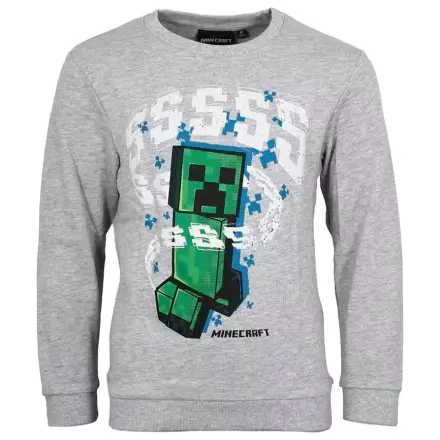 Minecraft Grey Kids' Hoodie  product photo