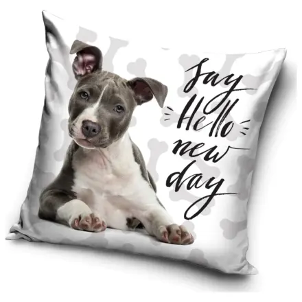 New Day Pillowcase product photo