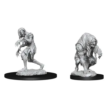Pathfinder Battles Deep Cuts Unpainted Miniatures Annis Hag & Green Hag Case (6) product photo