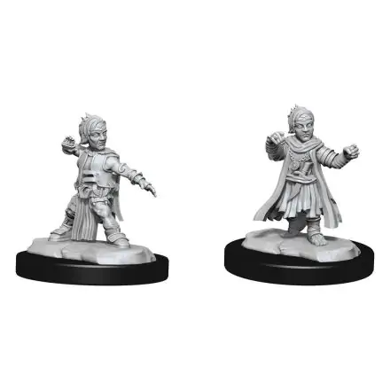 Pathfinder Battles Deep Cuts Unpainted Miniatures Halfing Monk Male Case (2) product photo