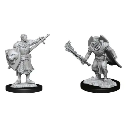Pathfinder Battles Deep Cuts Unpainted Miniatures Human Champion Male Case (6) product photo