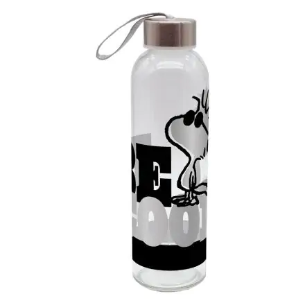 Peanuts Water Bottle Be Cool product photo