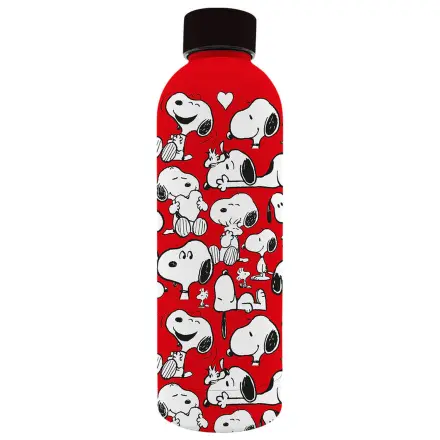 Peanuts Snoopy stainless steel soft touch water bottle 800ml product photo