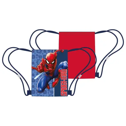 Spider-Man Swing Force Sports Bag, Gym Bag 40 cm product photo