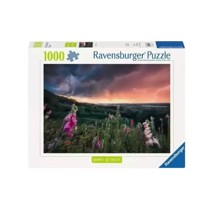Power of Nature Jigsaw Puzzle A Storm is coming (1000 pieces) product photo