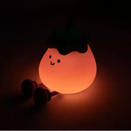 Read more LED Night Light product photo