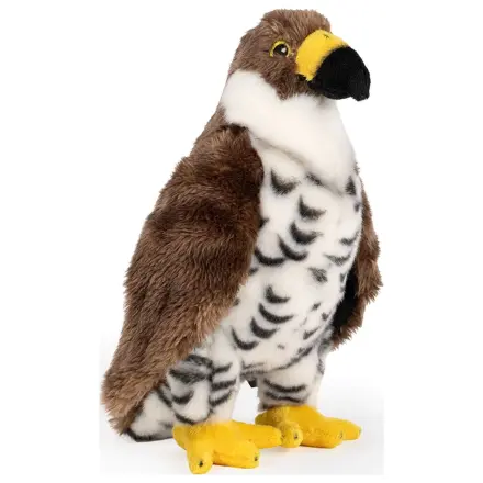 Realistic Animals Hawk plush toy 25cm product photo