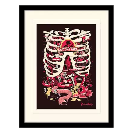 Rick and Morty Collector Print Framed Poster Anatomy Park (white background) product photo