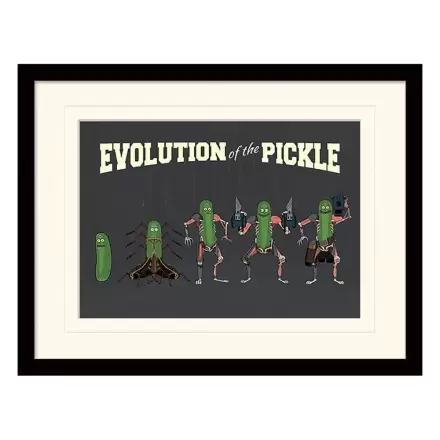 Rick and Morty Collector Print Framed Poster Evolution of the Pickle (white background) product photo