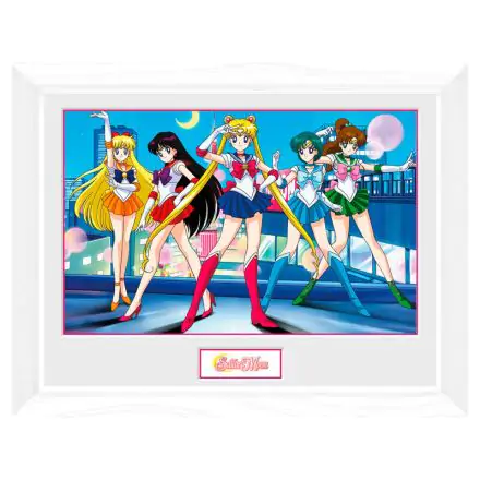 Sailor Moon Group Framed Photo product photo