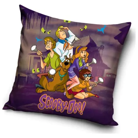 Scooby-Doo Investigation Pillowcase product photo