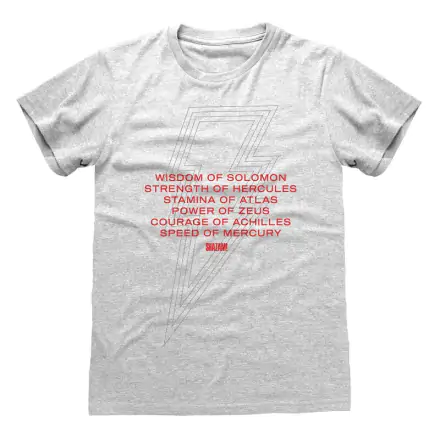 Shazam! Fury of the Gods Vows t-shirt product photo