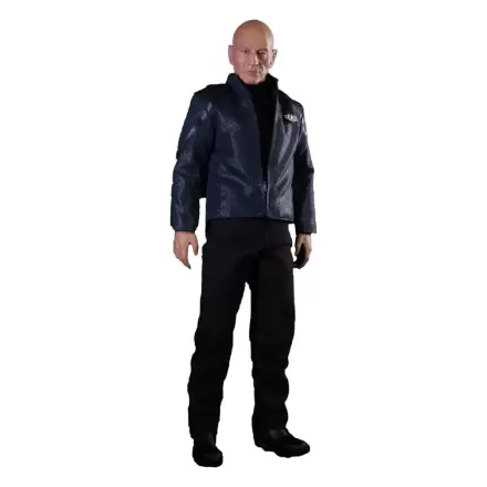 Star Trek: Picard Action Figure 1/6 Jean-Luc Picard 28 cm product photo