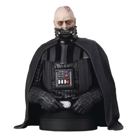 Star Wars Episode VI Bust 1/6 Darth Vader (unhelmeted) 15 cm product photo