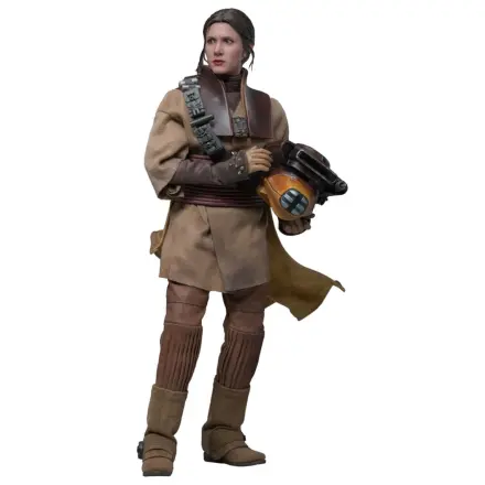 Star Wars Episode VI Movie Masterpiece Action Figure 1/6 Leia Organa (Boushh Disguise) 27 cm product photo