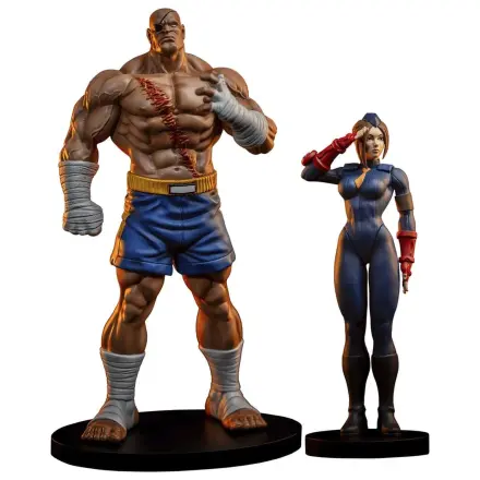 Street Fighter Street Jam Statuen 1/10 Sagat & Juli 24 cm  product photo
