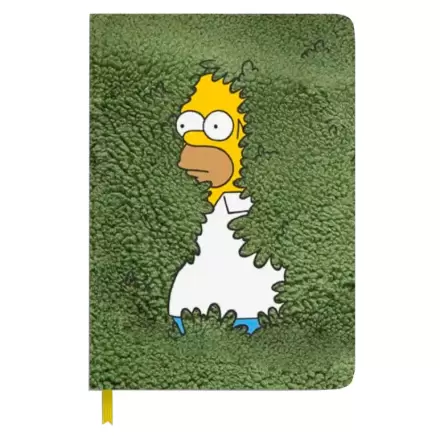 notebooks