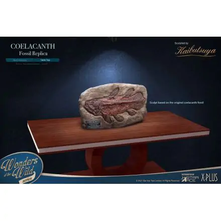 Wonders of the Wild Mini Replica Coelacanth Fossil 32 cm product photo