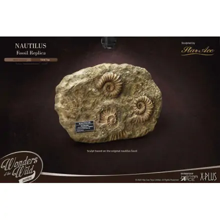 Wonders of the Wild Series Statue 1/1 Nautilus Miniature Frame & Fossil 15 cm product photo