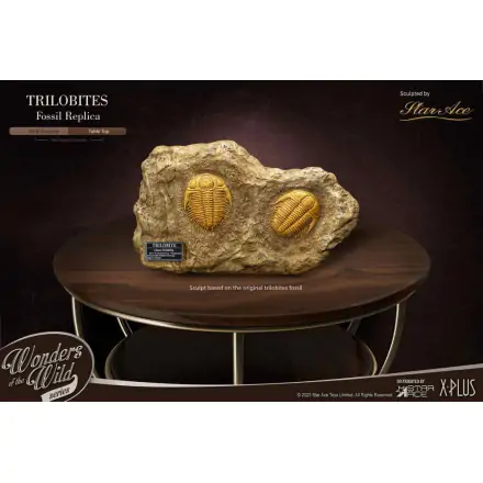 Wonders of the Wild Series Statue 1/1 Trilobites Miniature Frame & Fossil 15 cm product photo