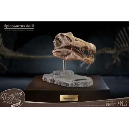 Wonders of the Wild Series Statue Spinosaurus Head Skull 30 cm product photo