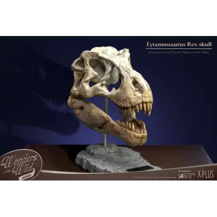 Wonders of the Wild Series Statue T-Rex Head Skull 30 cm product photo