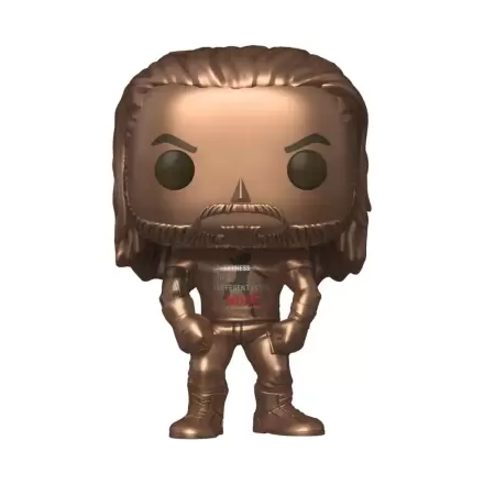 WWE Funko POP! Vinyl Figure Roman Reigns(intro)(BZ) Exclusive Edition 9 cm product photo