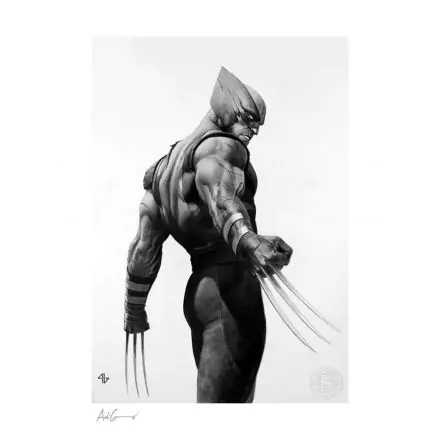 X-Men Art Print Wolverine Black & White Variant 46 x 61 cm - unframed product photo